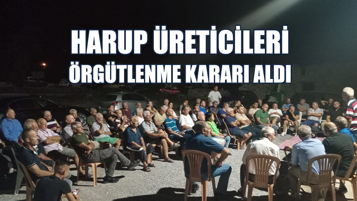 Üreticiler Zeytin Koop Çatısı Altında Örgütleniyor