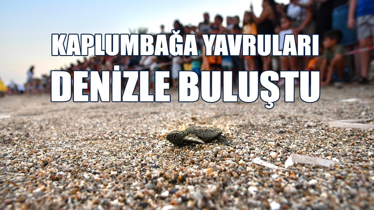“2 Bin Kişi İle Birlikte Yavru Salımı Gerçekleştirdik”