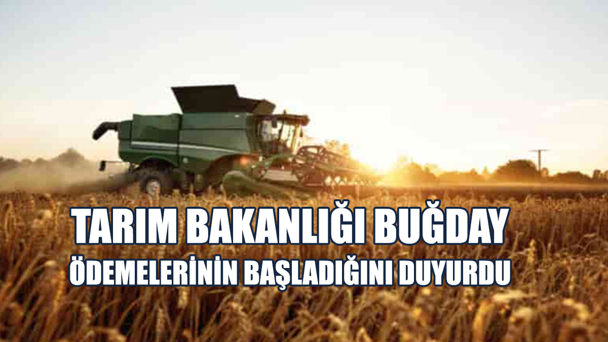 542 Üreticiden 14 Bin 413 Ton Sert Ve Yumuşak Buğday Alındı
