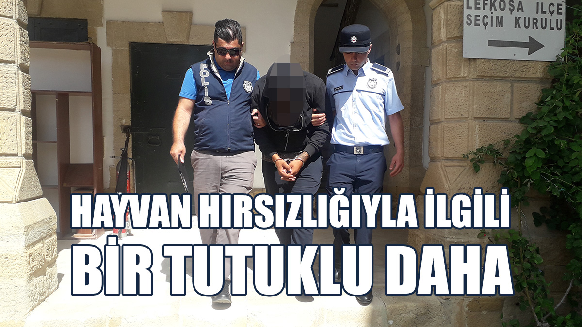 Tutuklu Sayısı 3'e Yükseldi