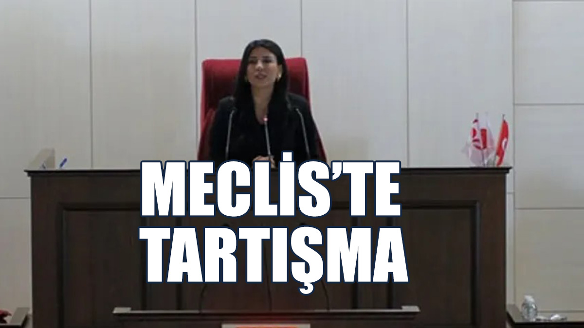“CTP’ye Göre 8, UBP’ye Göre 9’uncu Oturum” Başladı