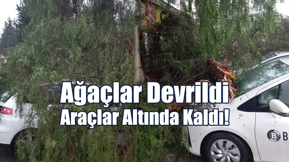 Ağaçlar Devrildi, Araçlar Altında Kaldı!