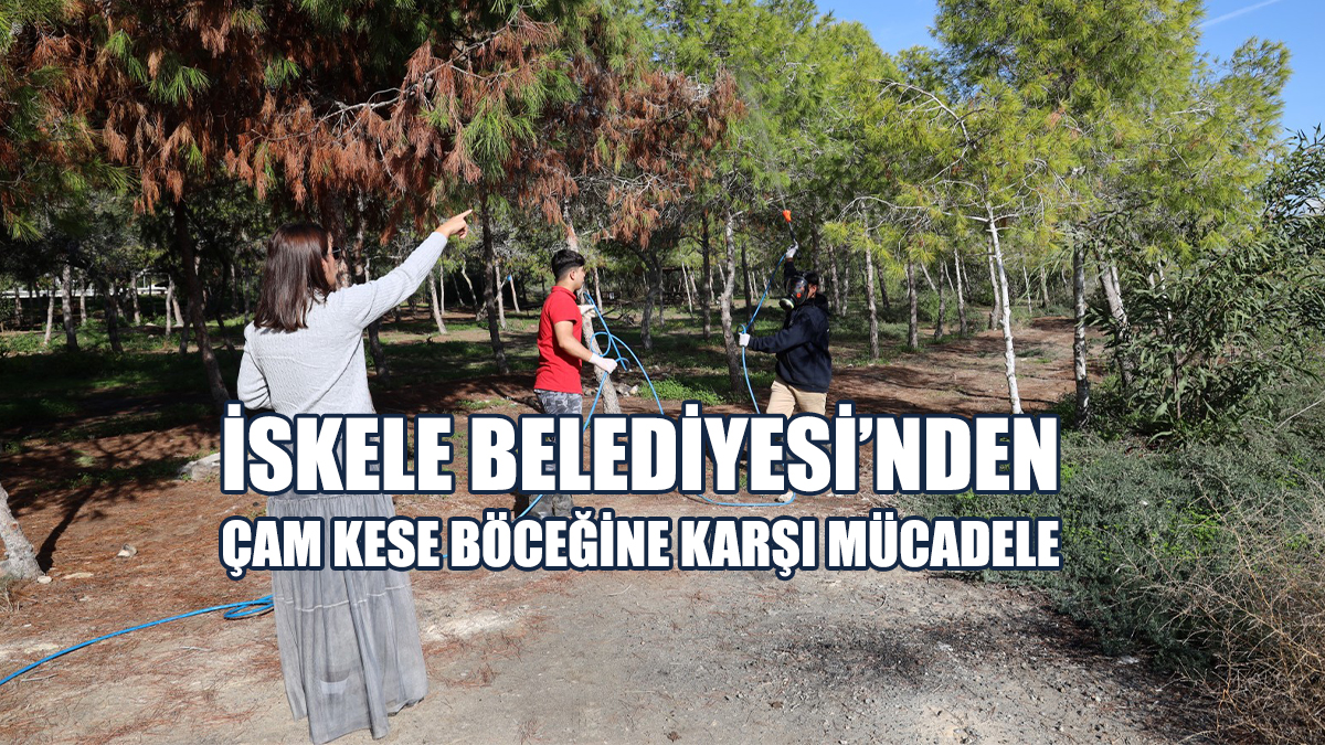 İskele Belediyesi Çam Kese Böceğine Karşı Mücadele Başlattı