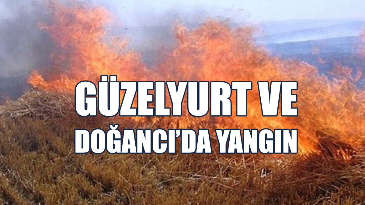 Güzelyurt Ve Doğancı’da Yangın