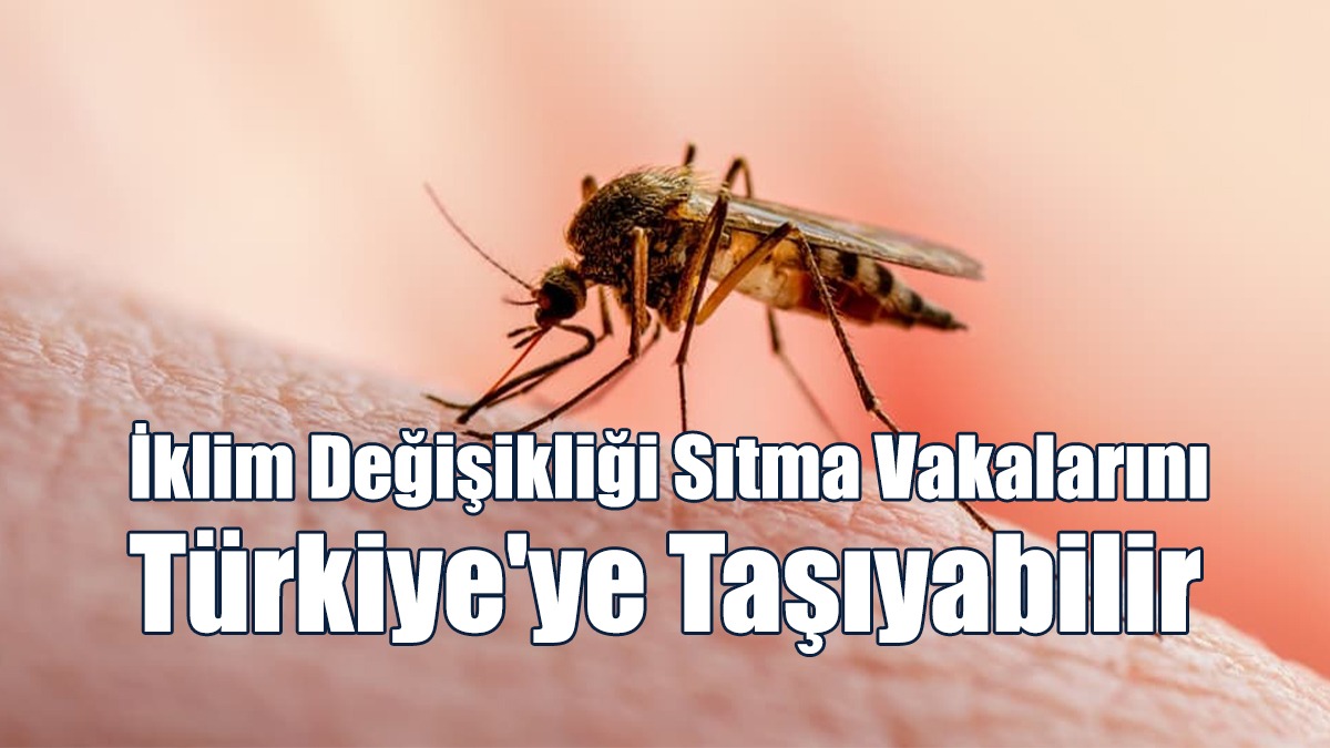 İklim Değişikliği Sıtma Vakalarını Türkiye'ye Taşıyabilir